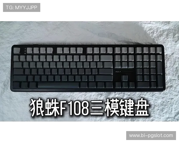 性价比高的狼蛛有线键盘推荐适合游戏玩家使用的最佳选择 性价比高的狼蛛有线键盘推荐适合游戏玩家使用的最佳选择